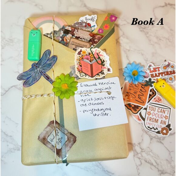 Blind Date with a Book: Surprise  Book Gift - Picture 3 of 6